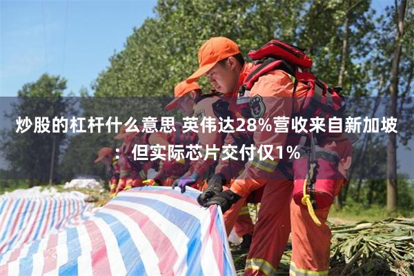 炒股的杠杆什么意思 英伟达28%营收来自新加坡：但实际芯片交付仅1%