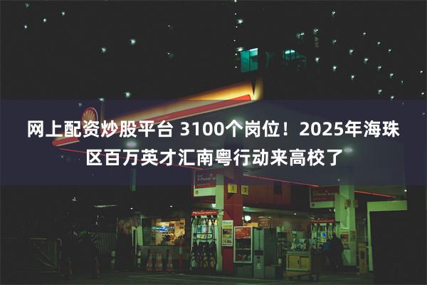 网上配资炒股平台 3100个岗位！2025年海珠区百万英才汇南粤行动来高校了
