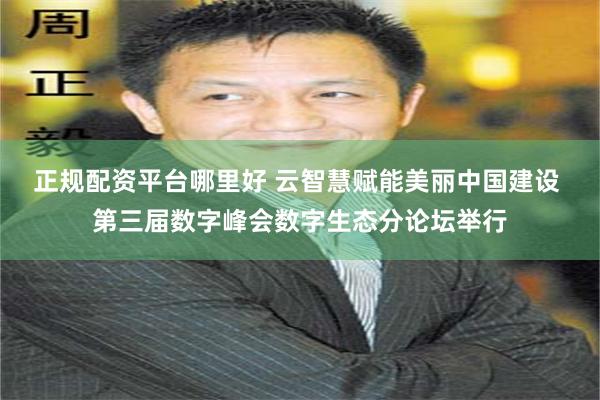 正规配资平台哪里好 云智慧赋能美丽中国建设 第三届数字峰会数字生态分论坛举行