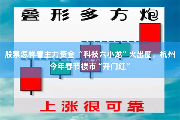 股票怎样看主力资金 “科技六小龙”火出圈，杭州今年春节楼市“开门红”
