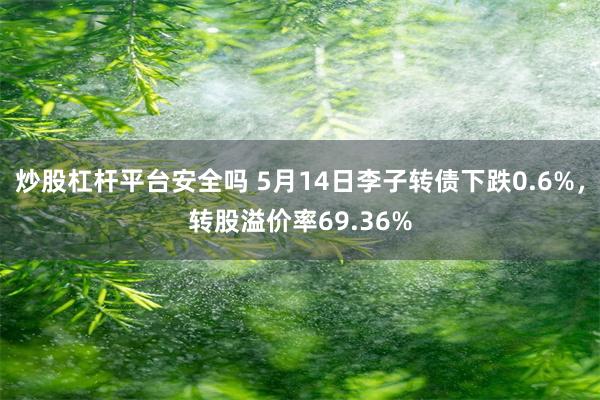 炒股杠杆平台安全吗 5月14日李子转债下跌0.6%，转股溢价率69.36%