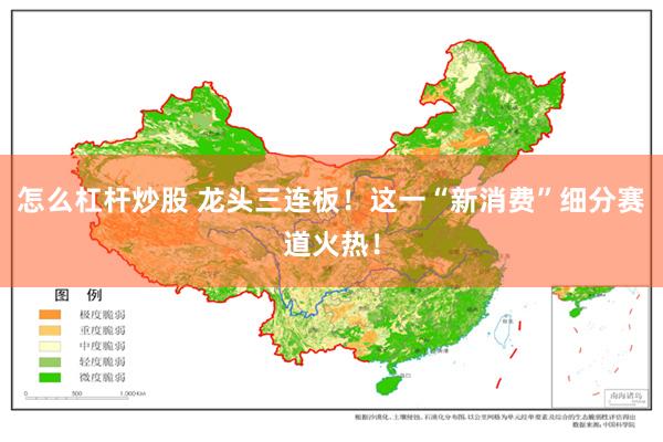 怎么杠杆炒股 龙头三连板！这一“新消费”细分赛道火热！