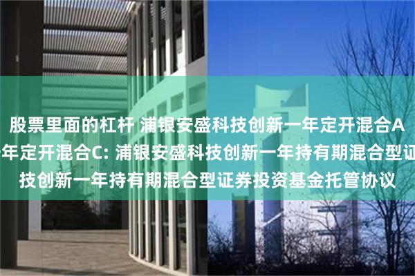 股票里面的杠杆 浦银安盛科技创新一年定开混合A,浦银安盛科技创新一年定开混合C: 浦银安盛科技创新一年持有期混合型证券投资基金托管协议