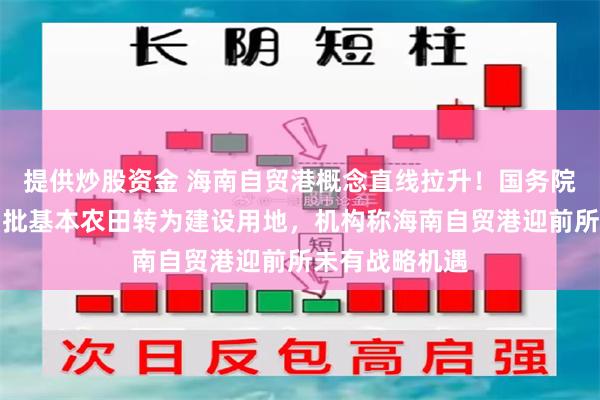 提供炒股资金 海南自贸港概念直线拉升！国务院授权海南省审批基本农田转为建设用地，机构称海南自贸港迎前所未有战略机遇