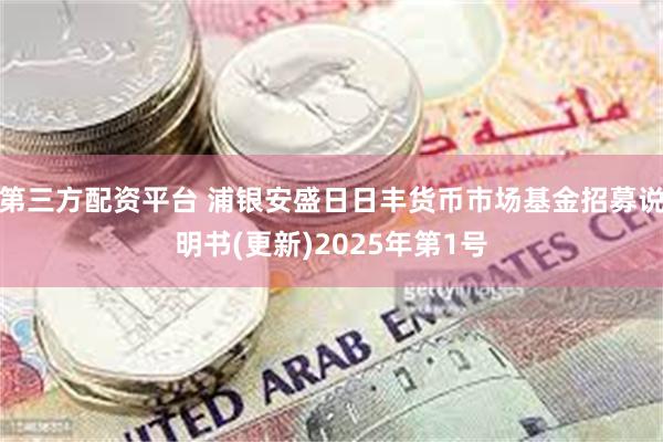 第三方配资平台 浦银安盛日日丰货币市场基金招募说明书(更新)2025年第1号