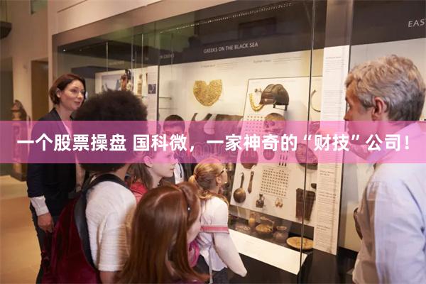 一个股票操盘 国科微，一家神奇的“财技”公司！
