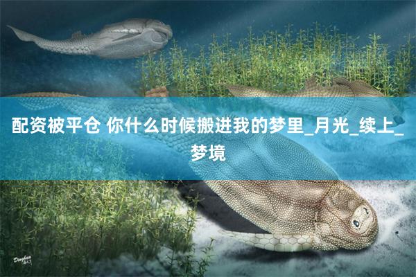 配资被平仓 你什么时候搬进我的梦里_月光_续上_梦境