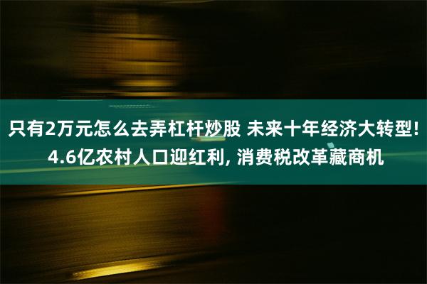 只有2万元怎么去弄杠杆炒股 未来十年经济大转型! 4.6亿农村人口迎红利, 消费税改革藏商机