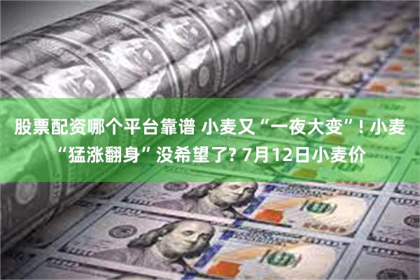 股票配资哪个平台靠谱 小麦又“一夜大变”! 小麦“猛涨翻身”没希望了? 7月12日小麦价