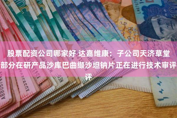 股票配资公司哪家好 达嘉维康：子公司天济草堂部分在研产品沙库巴曲缬沙坦钠片正在进行技术审评