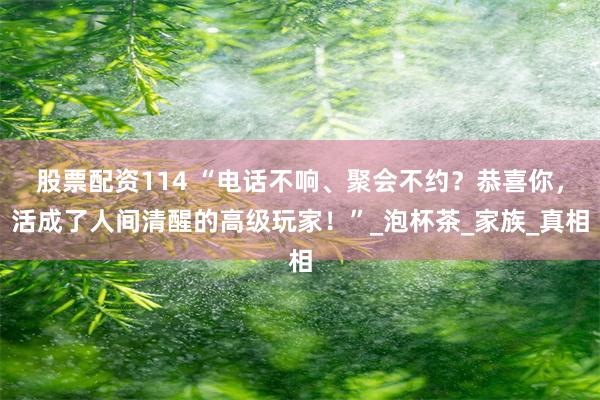 股票配资114 “电话不响、聚会不约？恭喜你，活成了人间清醒的高级玩家！”_泡杯茶_家族_真相