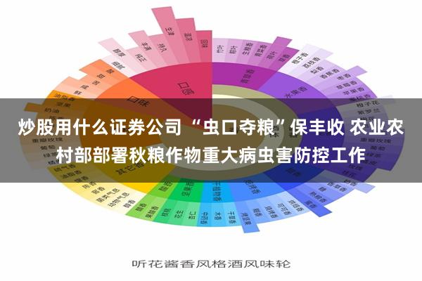 炒股用什么证券公司 “虫口夺粮”保丰收 农业农村部部署秋粮作物重大病虫害防控工作