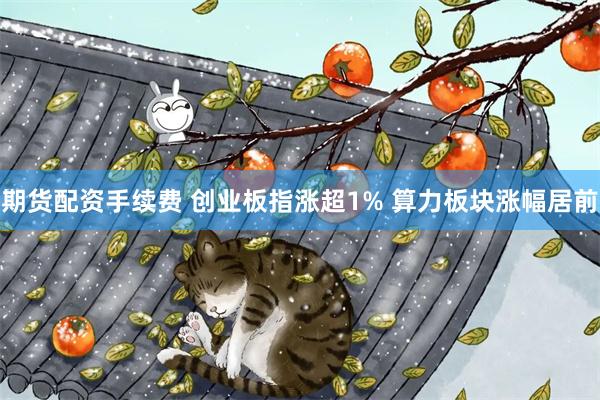 期货配资手续费 创业板指涨超1% 算力板块涨幅居前